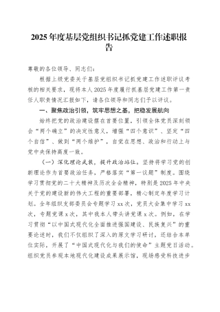2025年度基层党组织书记抓党建工作述职报告