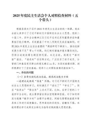 2025年度民主生活会个人对照检查材料（五个带头）_120260204