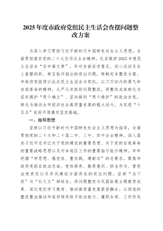 2025年度市政府党组民主生活会查摆问题整改方案20260204