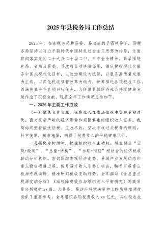 2025年县税务局工作总结