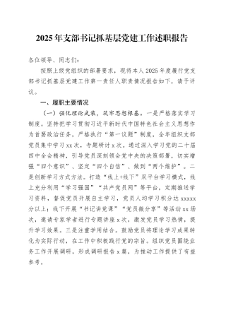 2025年支部书记抓基层党建工作述职报告