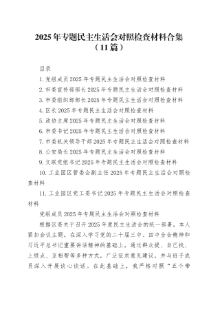 2025年专题民主生活会对照检查材料合集（11篇）20260121