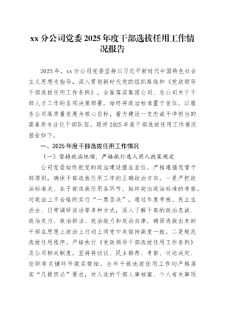 XX分公司党委2025年度干部选拔任用工作情况报告