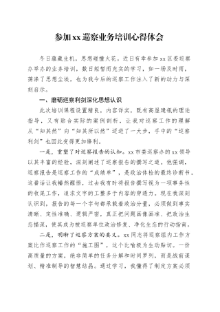 参加XX巡察业务培训心得体会