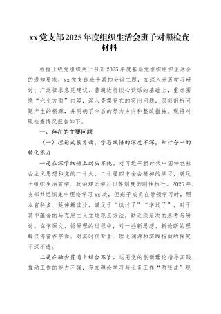 党支部2025年度组织生活会班子对照检查材料20260128
