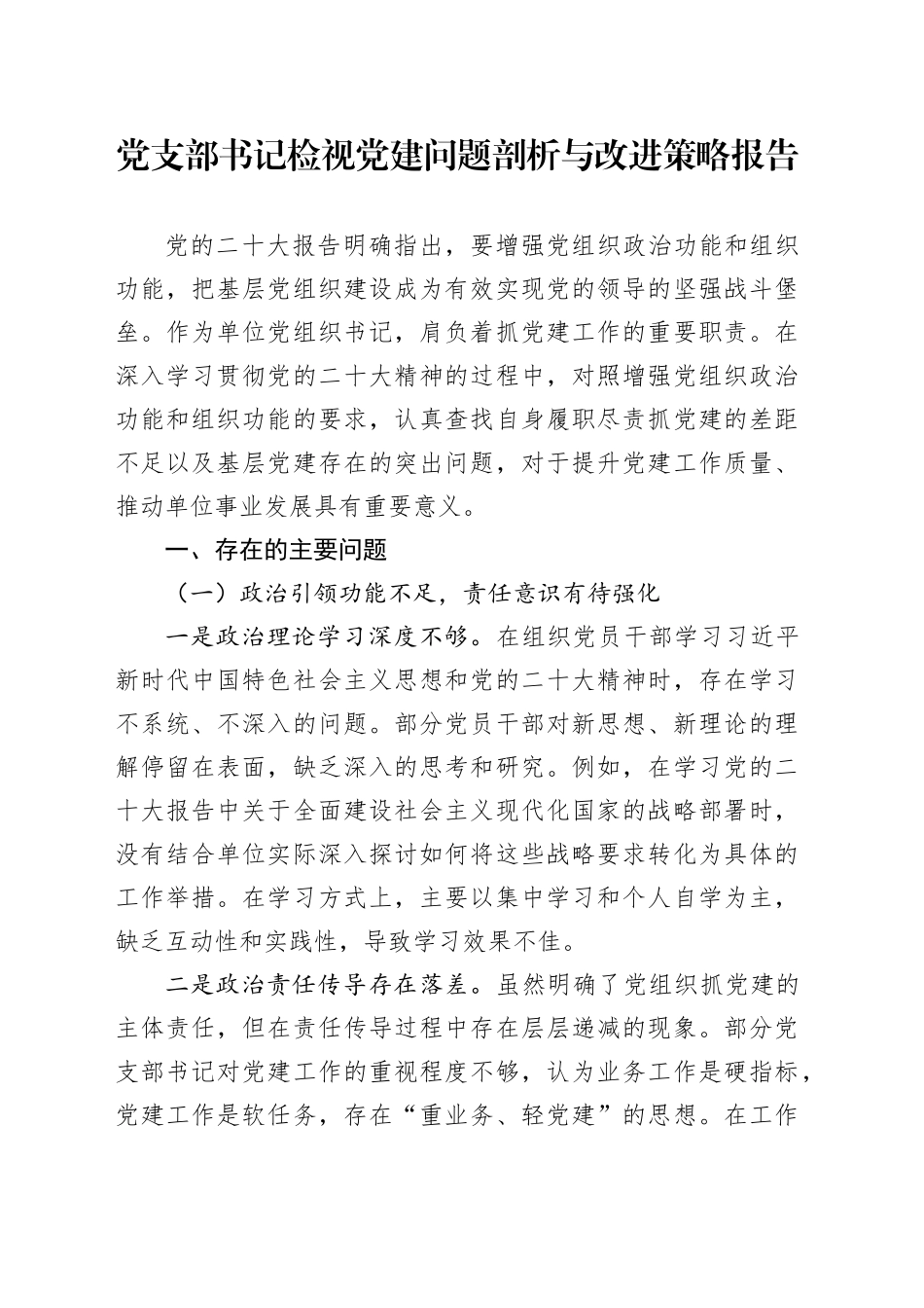 党支部书记检视党建问题剖析与改进策略报告_第1页