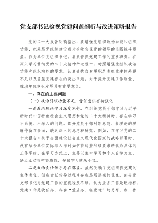 党支部书记检视党建问题剖析与改进策略报告