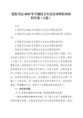 党组书记2025年专题民主生活会对照检查材料合集（3篇）