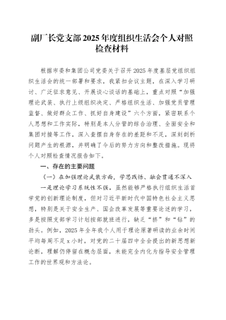 副厂长党支部2025年度组织生活会个人对照检查材料20260204