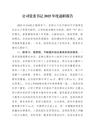公司党委书记2025年度述职报告