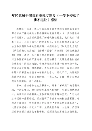 年轻党员干部观看电视专题片《一步不停歇半步不退让》感悟