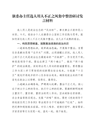 旗委办主任选人用人不正之风集中整治研讨发言材料