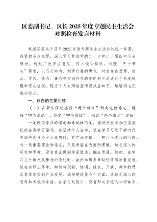 区委副书记、区长 2025 年度专题民主生活会对照检查发言材料20260128