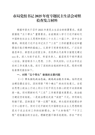 市局党组书记2025年度专题民主生活会对照检查发言材料20260116