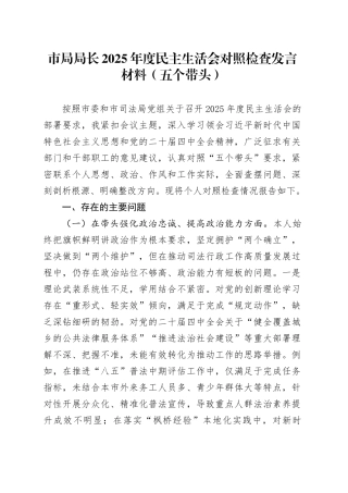 市局局长2025年度民主生活会对照检查发言材料（五个带头）20260128