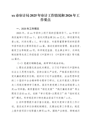 市审计局2025年审计工作情况和2026年工作要点