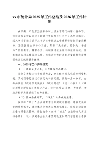 市统计局2025年工作总结及2026年工作计划