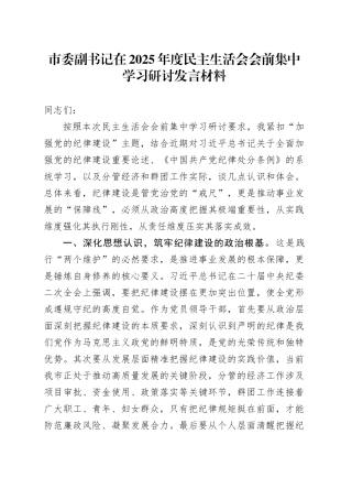 市委副书记在2025年度民主生活会会前集中学习研讨发言材料20260204