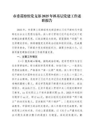 市委巡察组党支部2025年抓基层党建工作述职报告