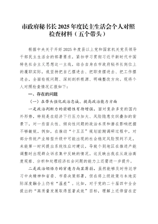 市政府秘书长2025年度民主生活会个人对照检查材料（五个带头）20260204