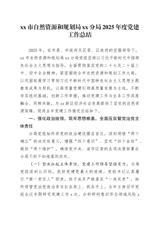 市自然资源和规划局分局2025年度党建工作总结