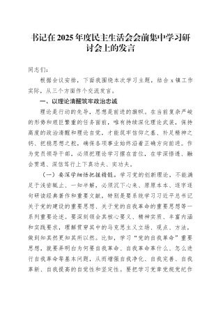 书记在2025年度民主生活会会前集中学习研讨会上的发言20260123