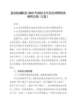 县法院副院长2025年度民主生活会对照检查材料合集（2篇）