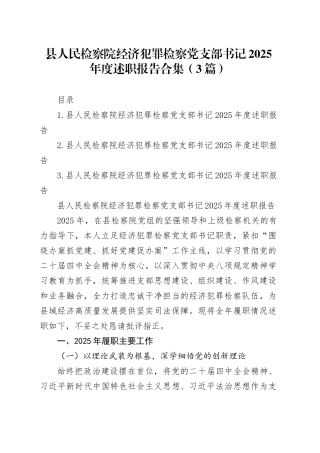 县人民检察院经济犯罪检察党支部书记2025年度述职报告合集（3篇）