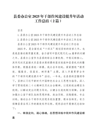 县委办公室2025年干部作风建设提升年活动工作总结（2篇）