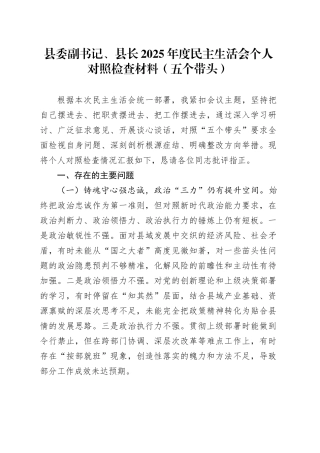 县委副书记、县长2025年度民主生活会个人对照检查材料（五个带头）20260204