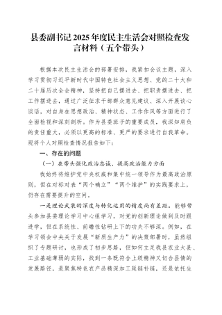 县委副书记2025年度民主生活会对照检查发言材料（五个带头）20260128