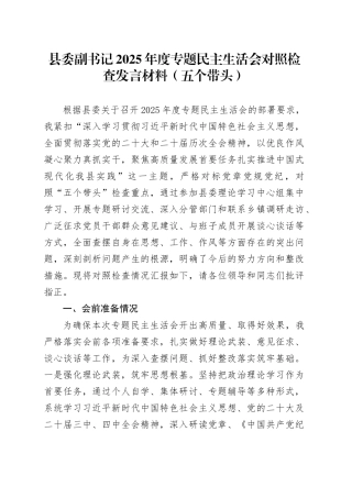 县委副书记2025年度专题民主生活会对照检查发言材料（五个带头）20260130