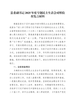 县委副书记2025年度专题民主生活会对照检查发言材料20260128