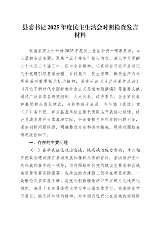 县委书记2025年度民主生活会对照检查发言材料20260121