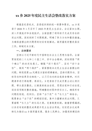 乡2025年度民主生活会整改落实方案20260128