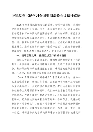 乡镇街道党委书记学习全国组织部长会议精神感悟