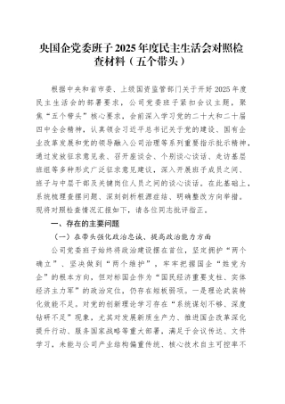 央国企党委班子2025年度民主生活会对照检查材料（五个带头）20260204