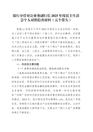 银行分管对公业务副行长2025年度民主生活会个人对照检查材料（五个带头）20260130