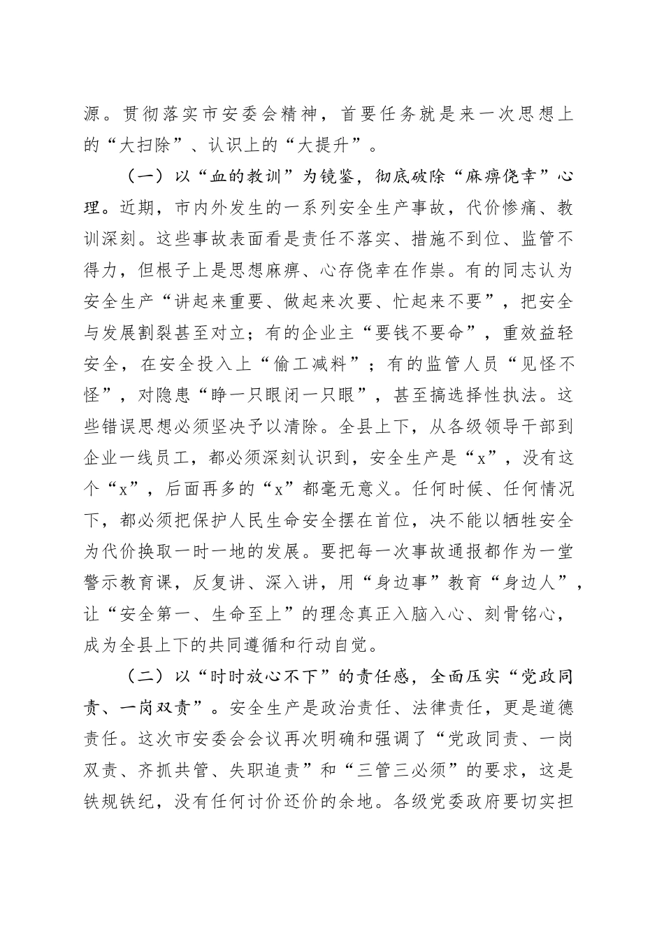 在市安委会全体（扩大）会议上的发言_第2页