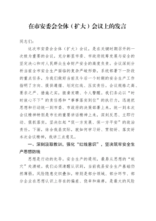 在市安委会全体（扩大）会议上的发言