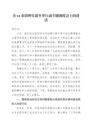 在市治理欠薪冬季行动专题调度会上的讲话