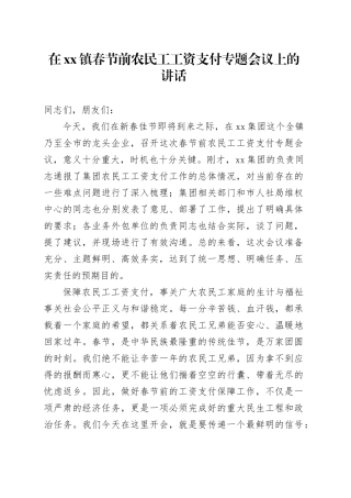 在镇春节前农民工工资支付专题会议上的讲话