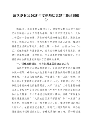 镇党委书记2025年度抓基层党建工作述职报告