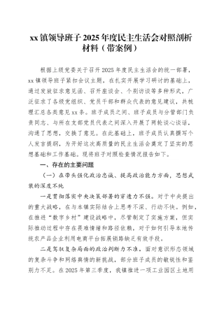 镇领导班子2025年度民主生活会对照剖析材料（带案例）20260121