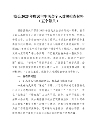 镇长2025年度民主生活会个人对照检查材料（五个带头）20260130