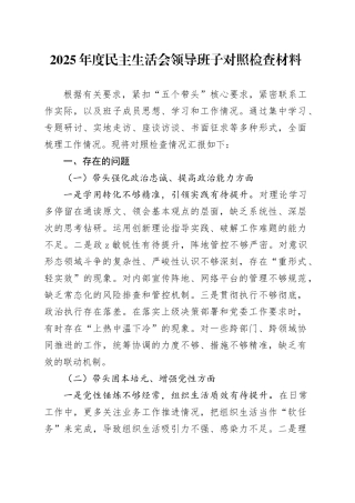 2025年度民主生活会领导班子对照检查材料20260224
