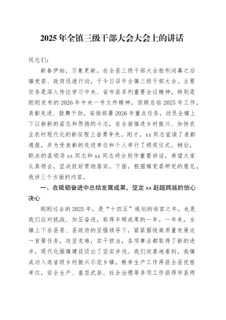 2025年全镇三级干部大会大会上的讲话