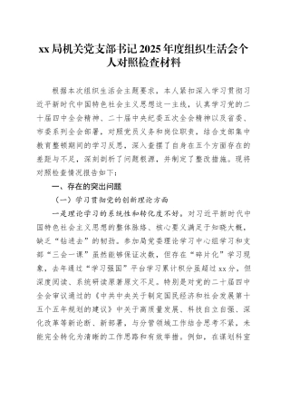 XX局机关党支部书记2025年度组织生活会个人对照检查材料20260304