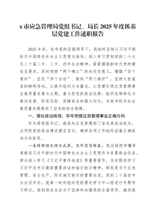 X市应急管理局党组书记、局长2025年度抓基层党建工作述职报告