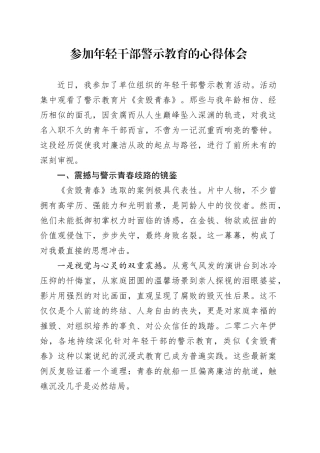 参加年轻干部警示教育的心得体会